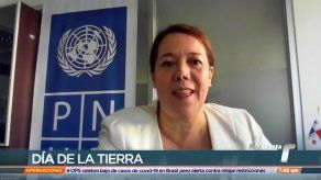 Aleida Ferreyra: Día de la Madre Tierra: Momento de invertir en empresas y empleos ecológicos