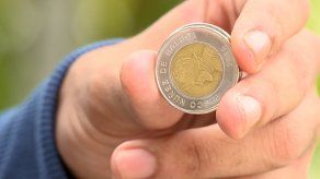 MEF y BNP presentan denuncia por posible falsificación de monedas