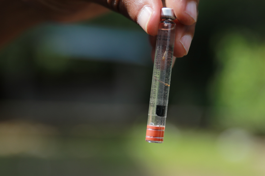 MINSA reporta aumento de casos de dengue