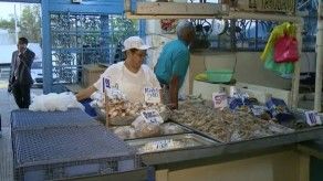 Realizan operativo de verificación en el Mercado del Marisco