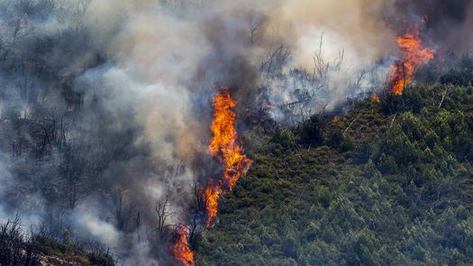 España ha sido azotada más duramente que cualquier otro país europeo por los incendios forestales este año, de acuerdo con el programa de observaciones terrestres Copérnico de la Unión Europea.
