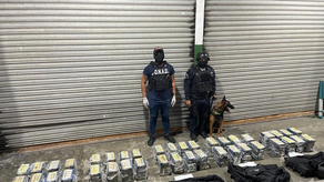 Policía Nacional. Decomiso de D Policía Nacional. Decomiso de D