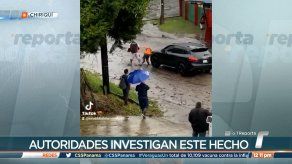 Sinaproc interpone denuncia por agresión a voluntario en Chiriquí Sinaproc interpone denuncia por agresión a voluntario en Chiriquí