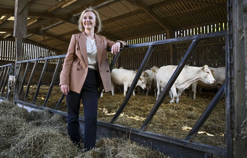 Liz Truss