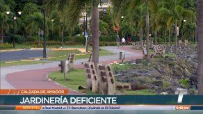 Reportan falta de mantenimiento en la Calzada de Amador