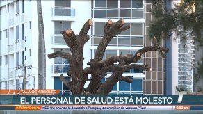 Conforman mesa legal por tala de árboles en jardines del Hospital Santo Tomás