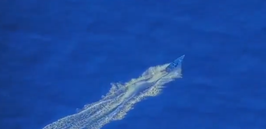 Pentágono ataca narcolancha frente a Venezuela