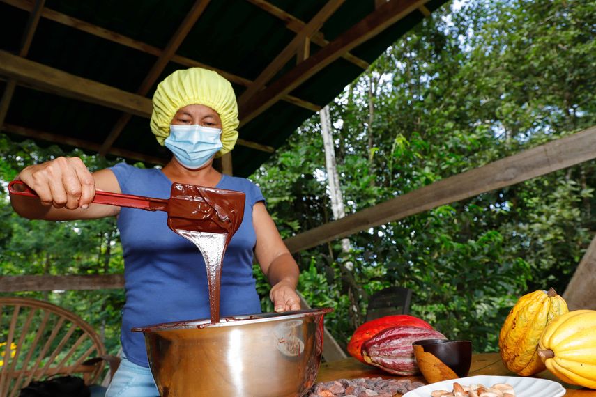 Las muestras de cacao panameño resaltaron entre los 50 mejores cacaos del mundo en esta competencia.
