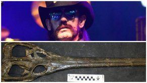 Bautizan cocodrilo prehistórico en honor de Lemmy Kilmister