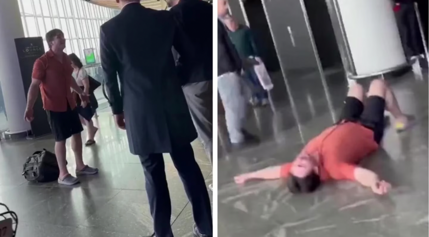 Aerolínea perdió 4 perros