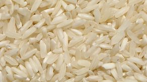 Acodeco decomisa más de 500 libras de arroz con gorgojos