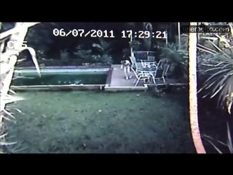 Roban en residencia de exprocuradora Gómez
