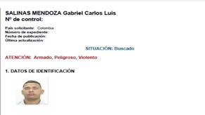 Gabriel Carlos Luis Salinas Mendoza, de nacionalidad venezolana.