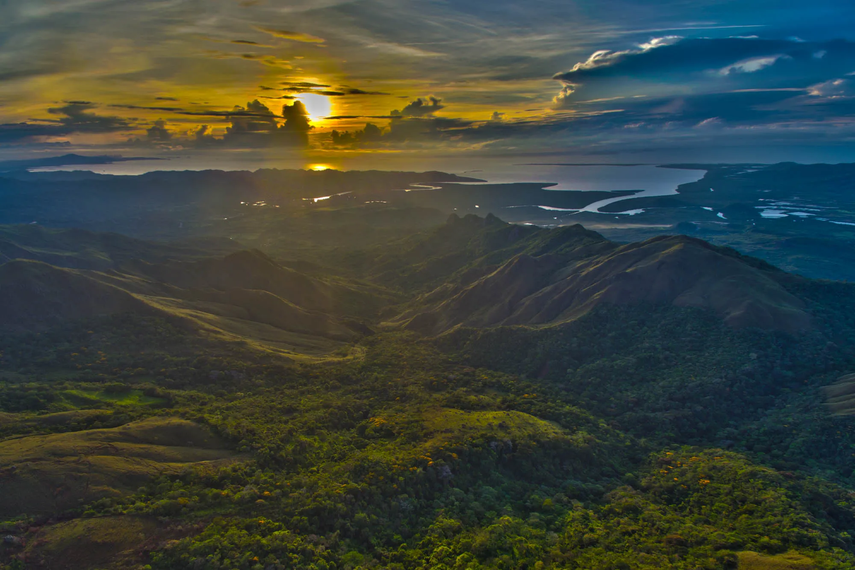 Bosque en Panamá: ¿Cuántos tipos hay en el país?