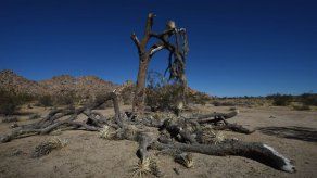 Acusan a pareja de castigar a niños enviándolos a desierto