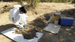 Secta que quemó vivo a un bebé en Chile planificó el crimen