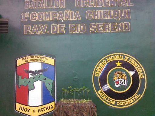 Encuentran plantones de marihuana en Chiriquí