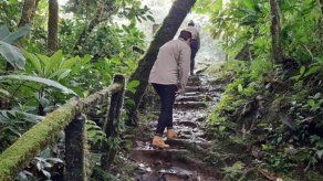 El sendero Panamá Verde está ubicado en el Parque Internacional La Amistad (PILA).