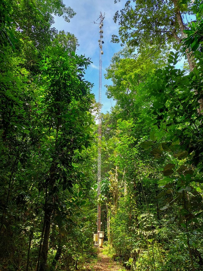 La torre AVA contiene los equipos del sistema Eddy Covariance que captan datos sobre el dosel del bosque. La torre AVA contiene los equipos del sistema Eddy Covariance que captan datos sobre el dosel del bosque.