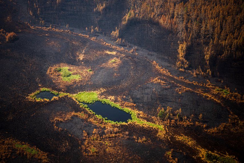 Los Incendios Forestales Abarcan En Rusia Más De 1 5 Millones De Hectáreas