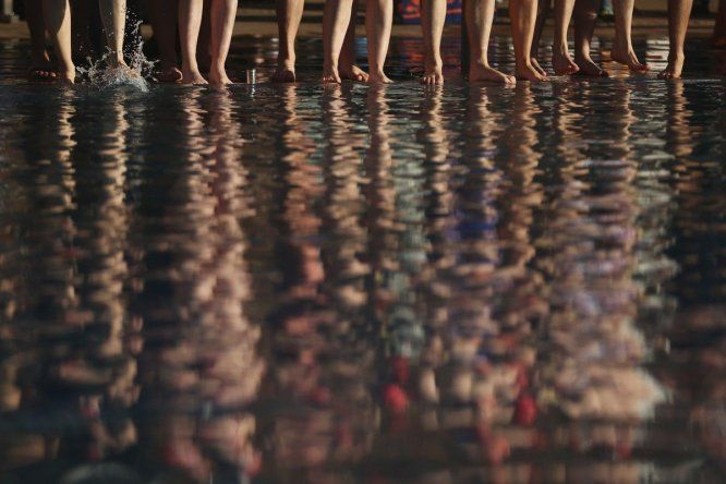 Carrera anual December Dip