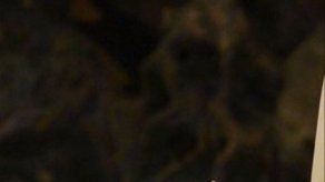 El papa Benedicto XVI llega al Líbano en una visita pastoral