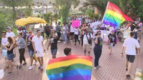 Ulloa advierte que decisión sobre uniones gay debe considerar el sentir del pueblo