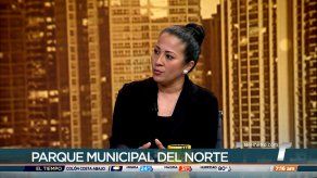 Municipio de Panamá sancionó con $600 mil a empresa encargada del alumbrado navideño en 2022