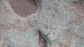 Utah exhibirá huellas de dinosaurio