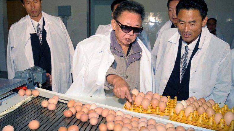 Científicos japoneses desarrollan medicinas en huevos de gallina