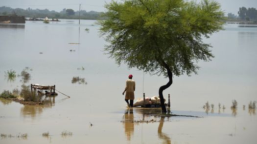 Las inundaciones llegan en el peor momento para Pakistán, cuya economía enfrenta una grave crisis.