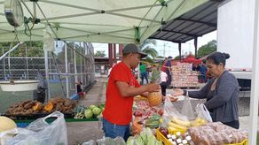 Lugares de Agroferias para este miércoles 19 de febrero.
