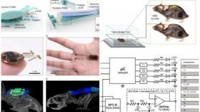El implante diseñado, delgado, flexible e inalámbrico, permite que los ratones se comporten de forma natural en entornos realista.