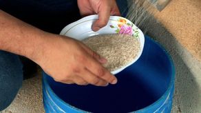 Molineros piden acciones contra contrabando de arroz