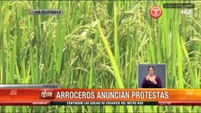 Productores de arroz en  Chiriquí anuncian protestas