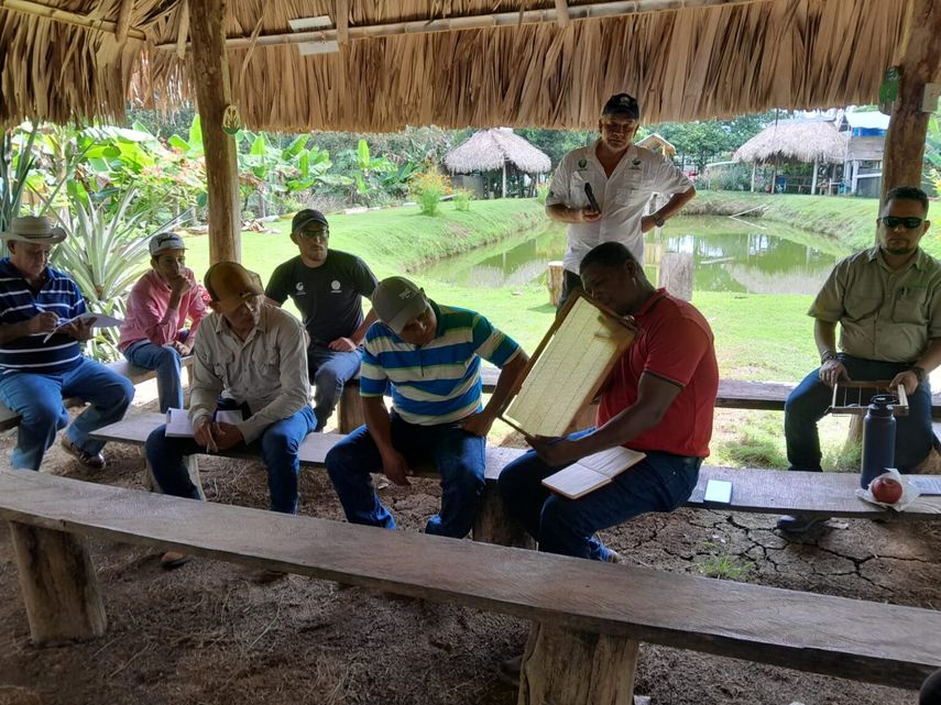 MIDA capacita a productores darienitas MIDA capacita a productores darienitas
