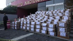 La organización de la consulta requeriría una inversión de 3.830 millones de pesos (unos 185,5 millones de dólares).