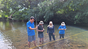 MiAmbiente MiAmbiente