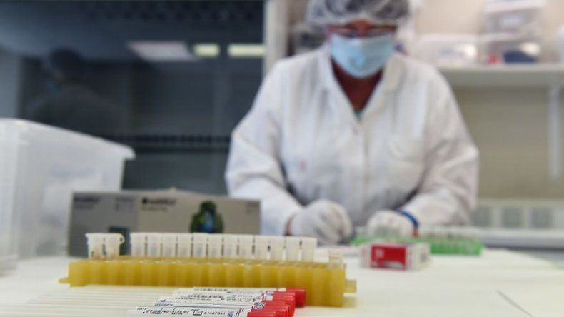 Ley reconoce profesión de Técnico Asistente y Auxiliar de Laboratorio Clínico