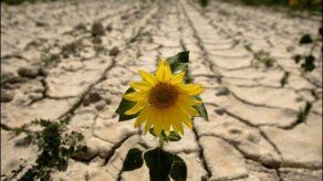 Sequía desata una guerra de aguas entre regiones españolas