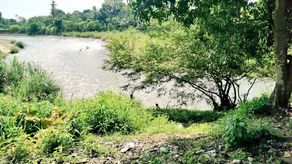 Los Bomberos y el Sinaproc se dieron a la tarea de búsqueda del menor en el río Pacora.