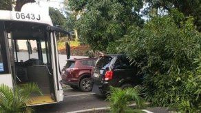Arbol cae sobre dos autos en la avenida Federico Boyd