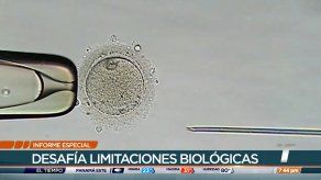 Reproducción asistida en Panamá