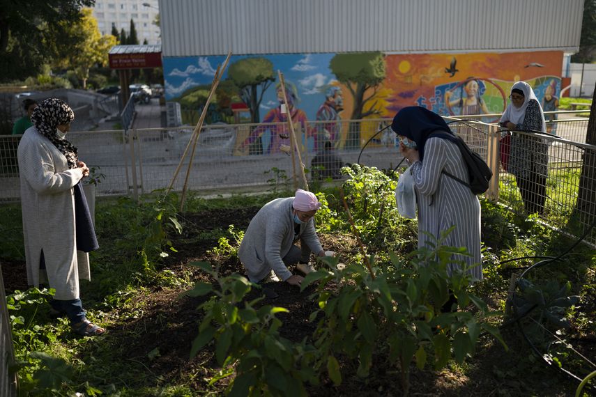 En los últimos años surgieron unos 25 huertos urbanos en Marsella.