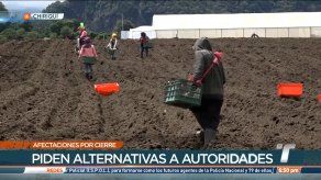 Sector agro de Chiriquí hace un llamado a las autoridades ante los cierres de vías que les provocan pérdidas