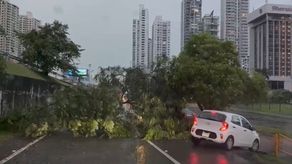 También hubo reporte de postes eléctricos y árboles caídos en la Vía Israel, Avenida Balboa, Avenida a Cuba, Panamá Viejo, Marbella y otras áreas.