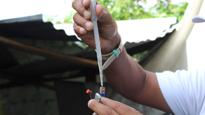 MINSA mantiene vigilancia por de casos de dengue