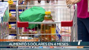 Canasta Básica refleja un nuevo aumento en los últimos meses