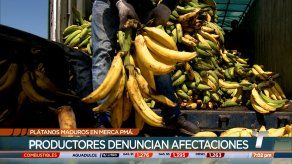 Comerciantes de Merca Panamá reportan afectaciones en ventas de plátano