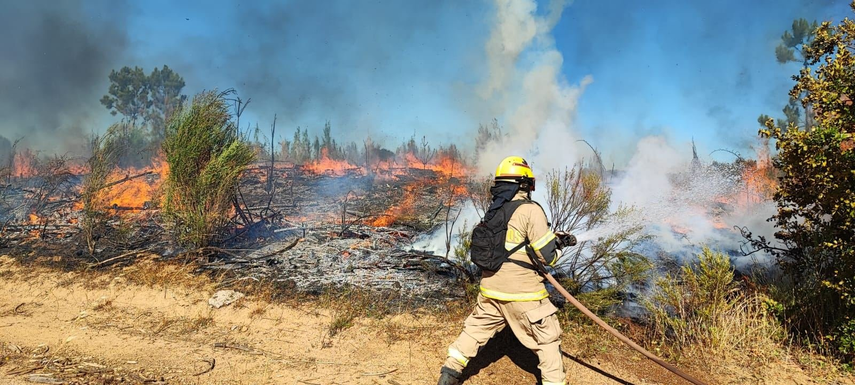 Incendios forestales en sur de Chile dejan cinco muertos.